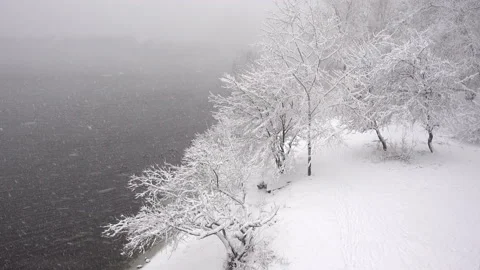 4K view of the snow-covered winter park on the river bank in the fog. Stock Footage 85476015
