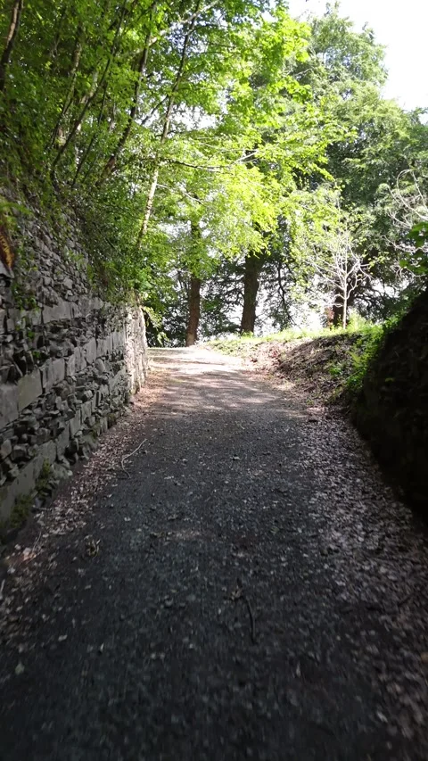 4K View of Stone Arch Bridge in Woodland at Heywood Gardens 스톡 동영상 332803726
