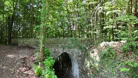 4K View of Stone Arch Bridge in Woodland at Heywood Gardens 库存影片 332803728