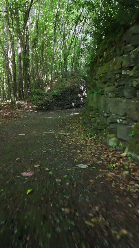 4K View of Stone Arch Bridge in Woodland at Heywood Gardens Stockbeeldmateriaal 332803764