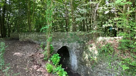 4K View of Stone Arch Bridge in Woodland at Heywood Gardens 库存影片 332803805