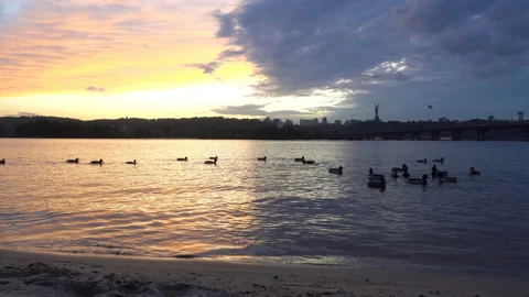 4K view of the sunset on the cloudy sky over the river with ducks Stock Footage 155154246
