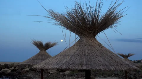 4K view of thatched beach umbrellas Stock-Footage 113350035