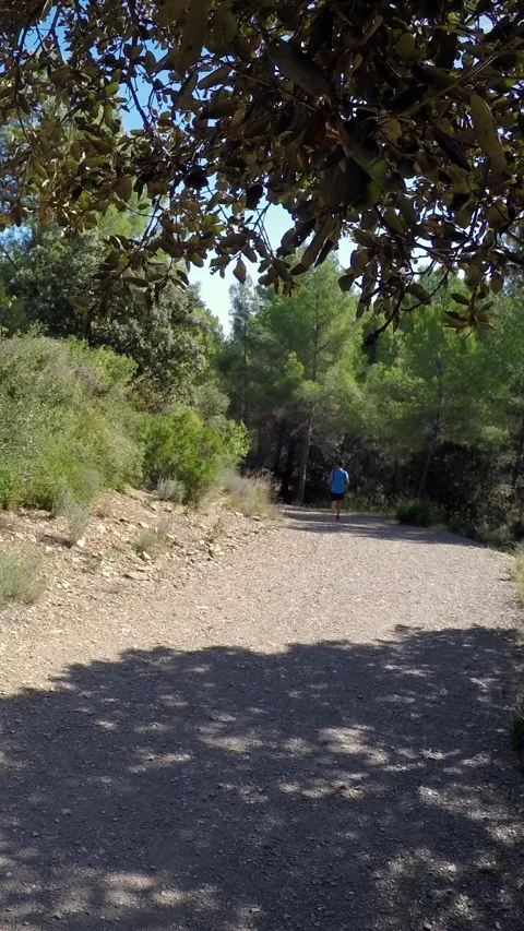 4k View through leaves and branches, a man runs by the mountain on dirt road Stock Footage 314280302