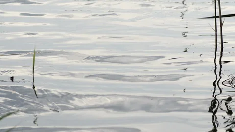 4K The view of top of river with waves Stock-Footage 97522134