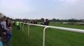 4k Visitors and photographers watching Horse Racing near by 4k or 4k+ Resolution