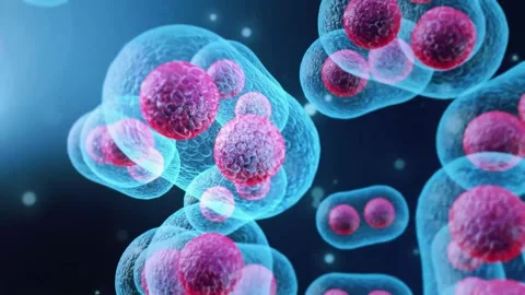 4K Visualization Biological Stem Cells Master Cells Human Body Stock-Footage 334444160