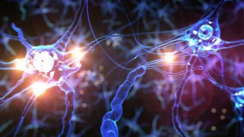 4K Visualization Neuron Cells Networking and Brain Neuroplasticity Video stock 334444166