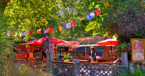 4K Vorizo Cafe, Buddhist Prayer Flags, Lush Summertime Island Life, Hornby Stock Footage 61293006