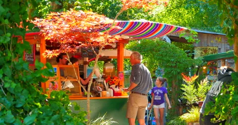 4k Vorizo Cafe, Spring Time in Hornby Island, BC Canada Stock Footage 61359441