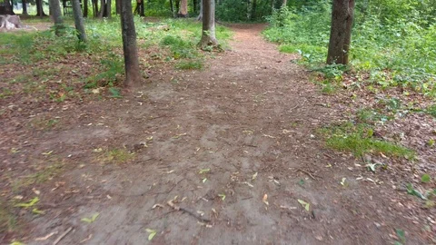4K walk along the path in the park Stock Footage 109606976
