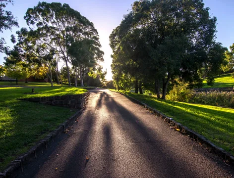 4K Walk in the park Stock Footage 37714738