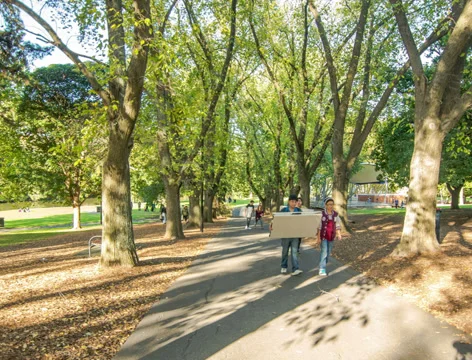 4K Walk in the park Stockbeeldmateriaal 37718553
