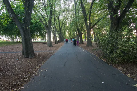4K Walk in the park Stock Footage 37719389