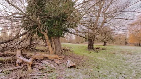 4K | Walk through Sheep's Green during winter Stock Footage 328745312