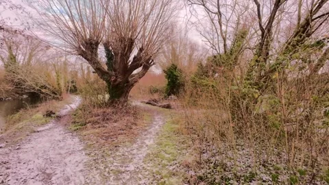 4K | Walk through Sheep's Green during winter Stock Footage 328745529