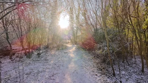 4K | Walk through Sheep's Green during winter Stock Footage 328746363