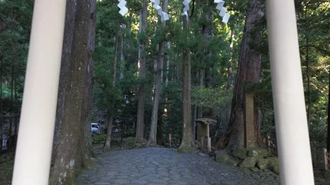 4K Walk Through White Torii Entrance to Nachi Falls Shinto Shrine by Drone Stock Footage 257795673