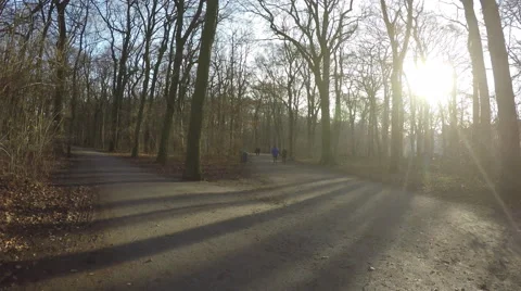 4K walk in the winter park Stock Footage 45572181