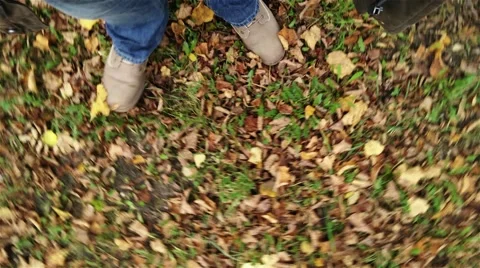 4K Walking in Autumn Forest Perspective High Angle View 3 Stock Footage 44625670