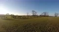 4K walking field with dogs clear autumn day 4k or 4k+ Resolution