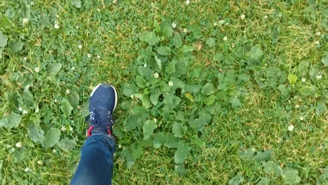 4K Walking in a field through the grass Video stock 110623608