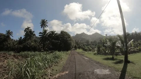 4k walking forward view at a backroad in tropical Pacific Cook Islands Stock Footage 233674594