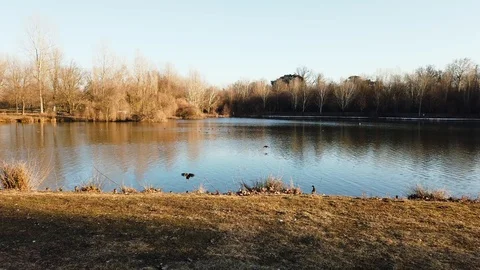 4k walking on lakeside with ducks flying Stock Footage 102397967