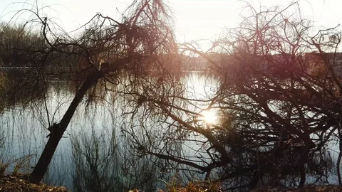 4k walking on lakeside with sun in a winter day Stock Footage 102396894