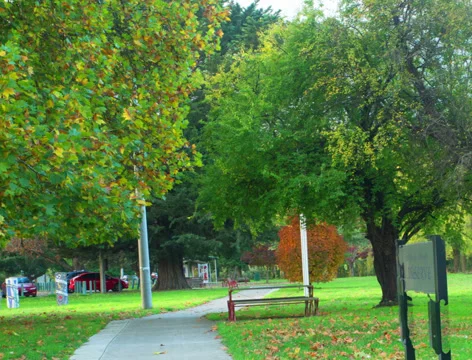 4K, Walking in the park Stock Footage 38378653