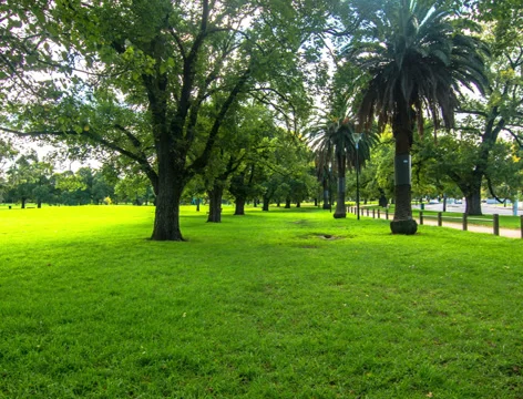 4K, Walking in the park Stock Footage 38380952