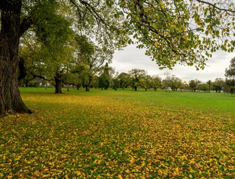 4K, Walking in the park Stock Footage 38807979