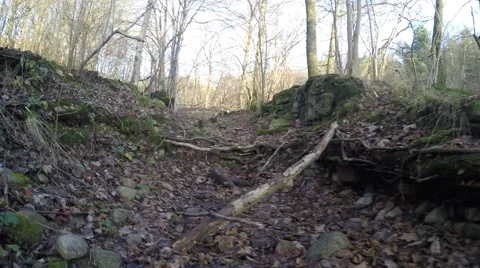 4K walking in a ruin in the forest with trees without leaves an autumn day Stock Footage 47272590