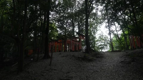 4K Walking through Forest with Torii Gates at Fushimi Inari Shrine — Orange Pole 스톡 동영상 150820348