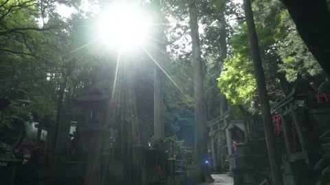 4K Walking through Torii Gates and Sacred Prayer Stone Sculptures at Fushimi Ina Stock Footage 150818582