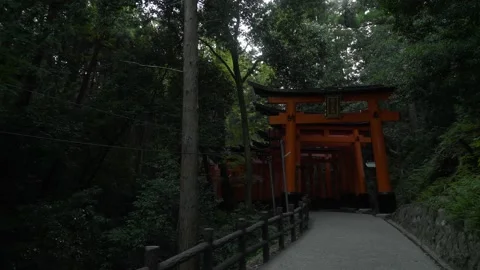 4K Walking through Torii Gates at Fushimi Inari Shrine in Forest — Orange Poles  Stock Footage 150822586