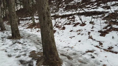 4k Walking in winter, snowy path Stock Footage 153816526