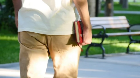 4k, Walking Young Man In The Park With His Book Stock Footage 117063811