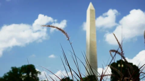 4k Washington Monument with Long Grass Stock Footage 68179543