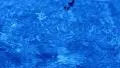 4K Water Drops 22 Crown Ripples on water surface 4k or 4k+ Resolution