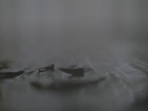 4k water drops falling on water surface (2) Video stock 75857077