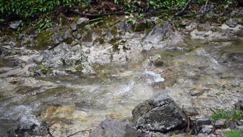 4K. Water running through forest. Stock Footage 90738466
