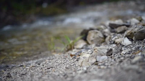 4K. Water running through forest. Stock Footage 90739249