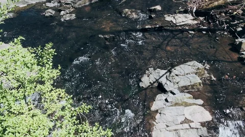 4K Water Stream Down Along the Creek - Nature / Ecology. Stock-Footage 129397124