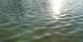 4K Water Surface 11 Sunlight Reflections 4k or 4k+ Resolution