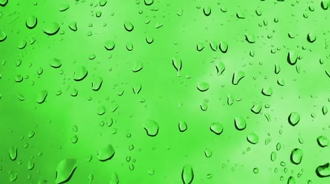 4k waterdrops on green background 動画素材 50088057