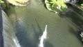4k Waterfall and fountains in tropical garden Madeira 4k or 4k+ Resolution