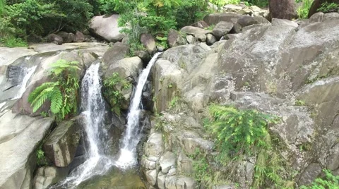 4K Waterfall and Rainforest Plants Vertical Pan Stock Footage 63618147