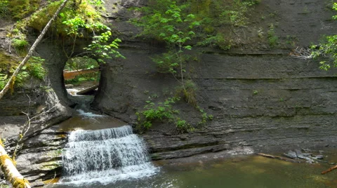 4K Waterfall Forest Landscape, Stream into Small Pond Video stock 64804228