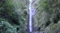 4k Waterfall in jungle-like mountain forest in Madeira Encumeada 4k or 4k+ Resolution